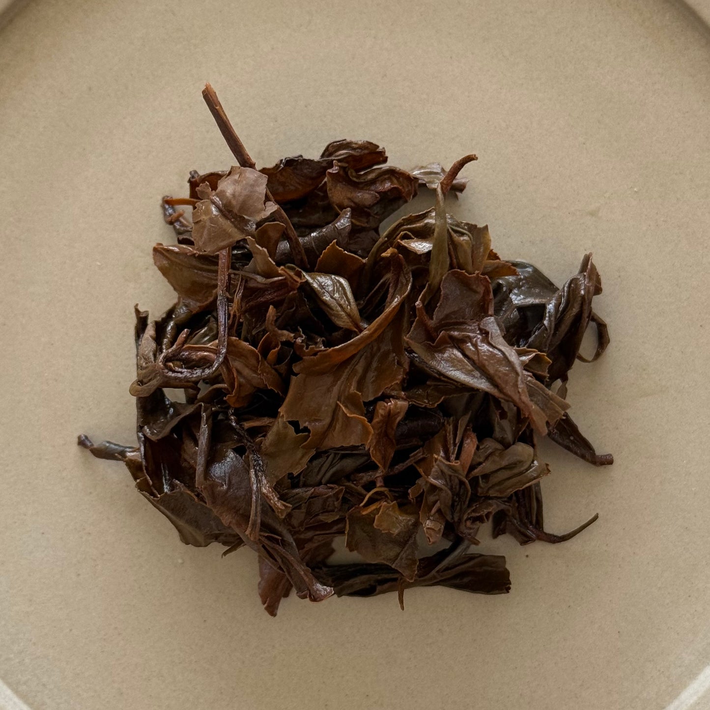 🆕BLACK 紅茶 たかちほ