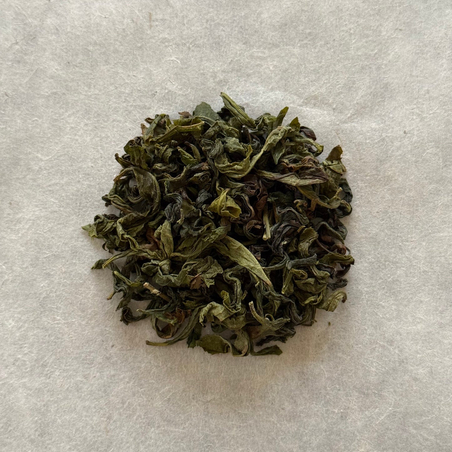 OOLONG 生烏龍茶 こうしゅん