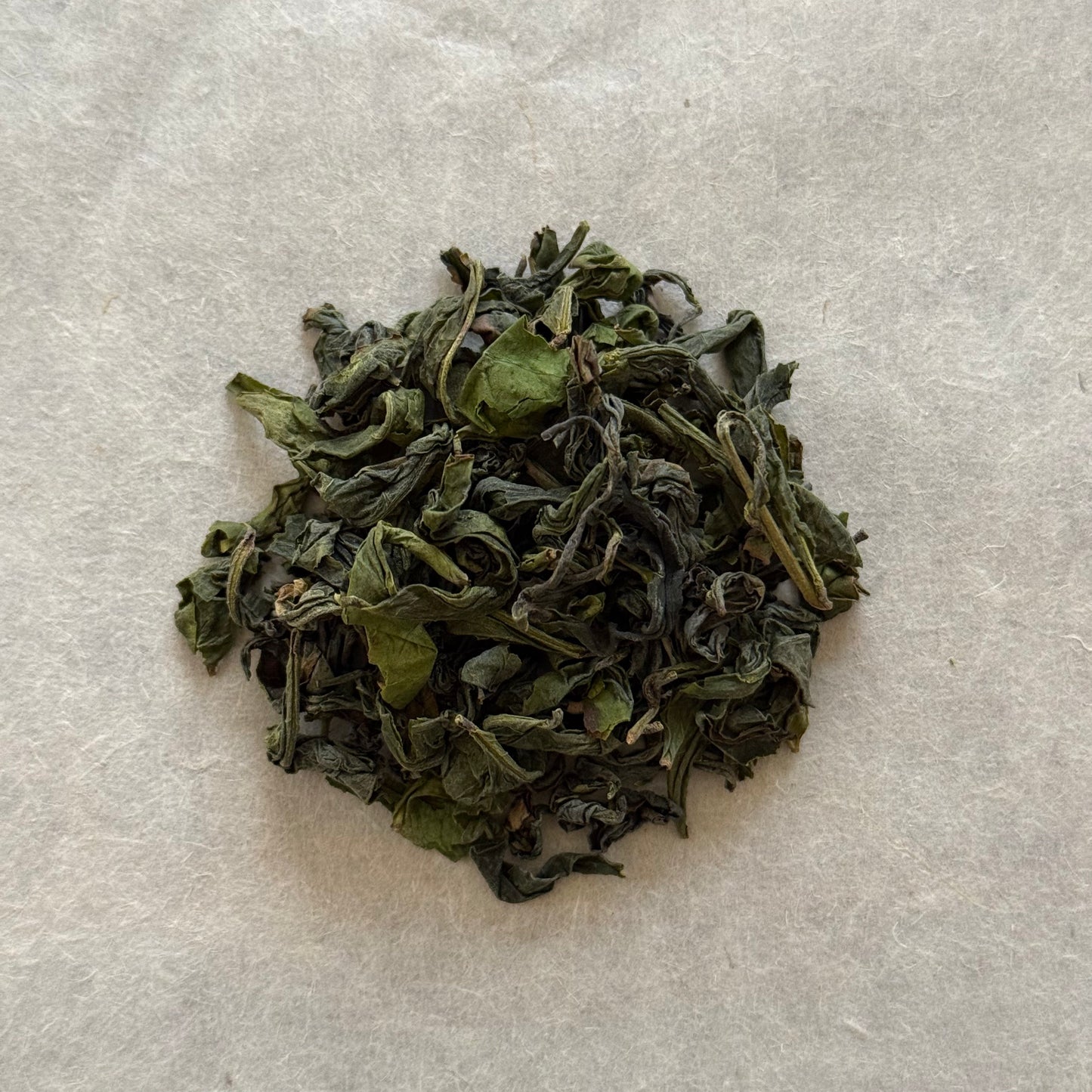 OOLONG 生烏龍茶 たかちほ