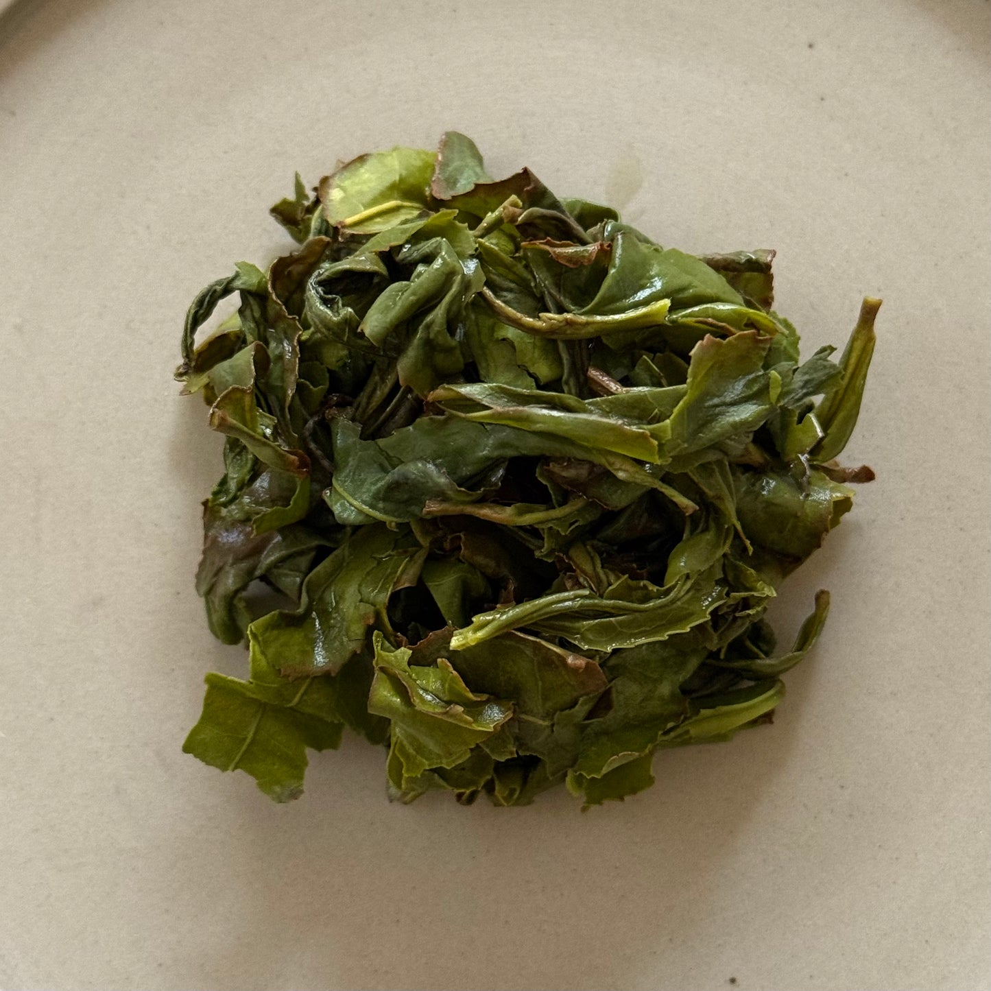 OOLONG 生烏龍茶 みなみさやか