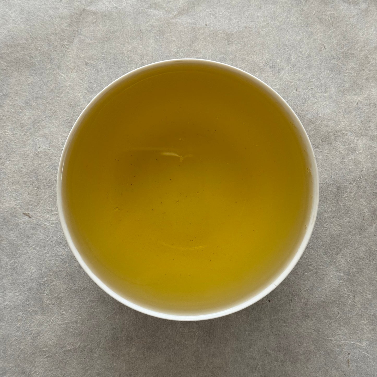 HOJI ノームの茎ほうじ