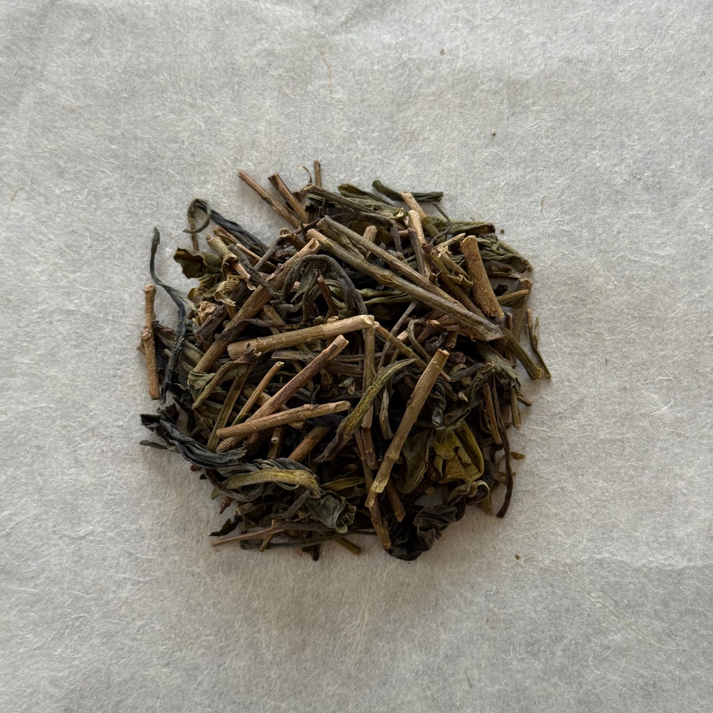 HOJI ノームの茎ほうじ