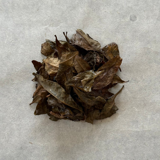 BANCHA 美作番茶(非焙煎)