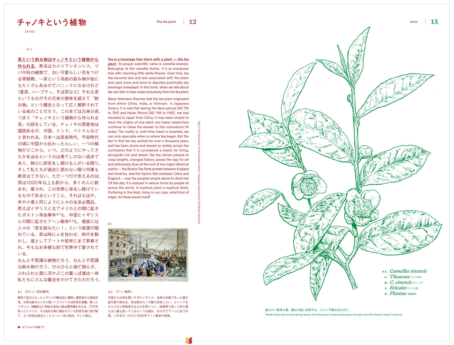 norm tea house original book “SAWA Tea Story”