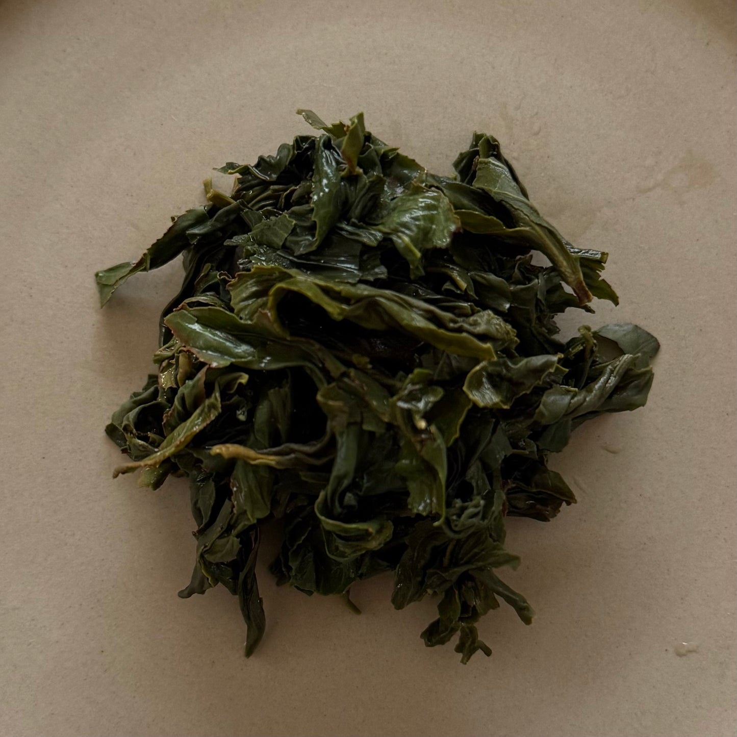 🆕OOLONG　生烏龍茶　青心烏龍