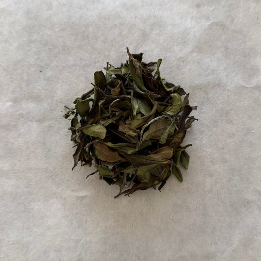 🆕WHITE　白茶　在来