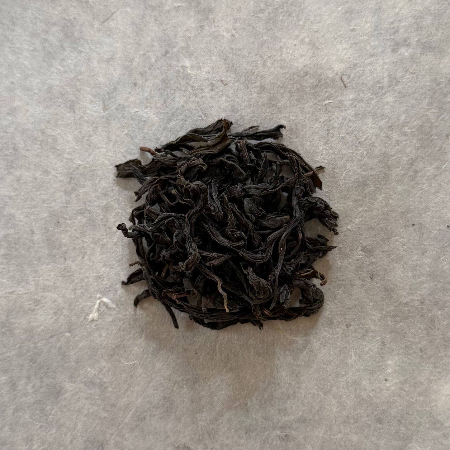 ROASTED 茶花ほうじ　