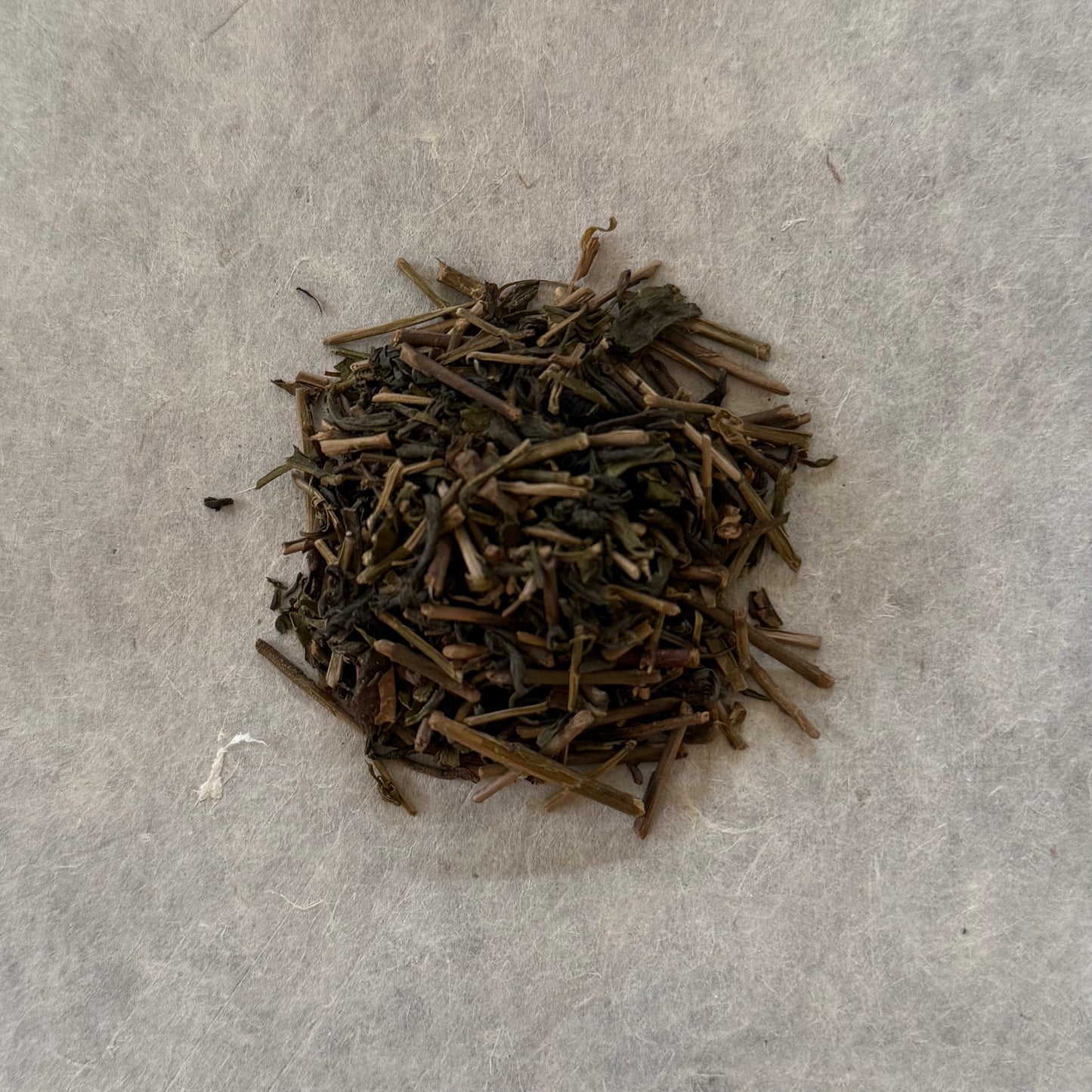 HOJI　ノームの茎ほうじ（ぽかぽかバージョン）