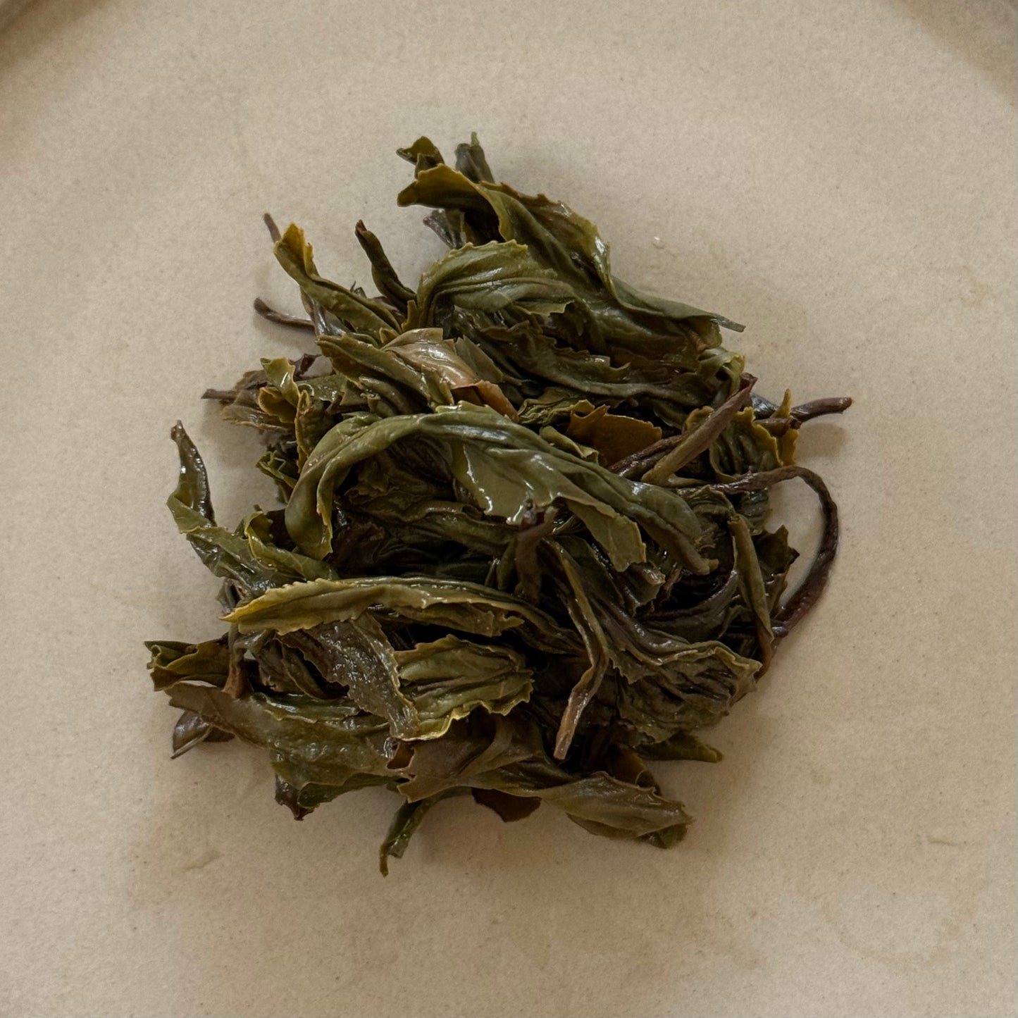 ROASTED 茶花ほうじ　