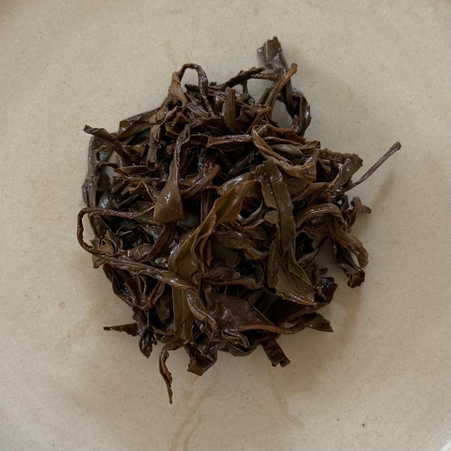 BLACK　紅茶　静7132