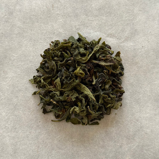 OOLONG　生烏龍茶　こうしゅん