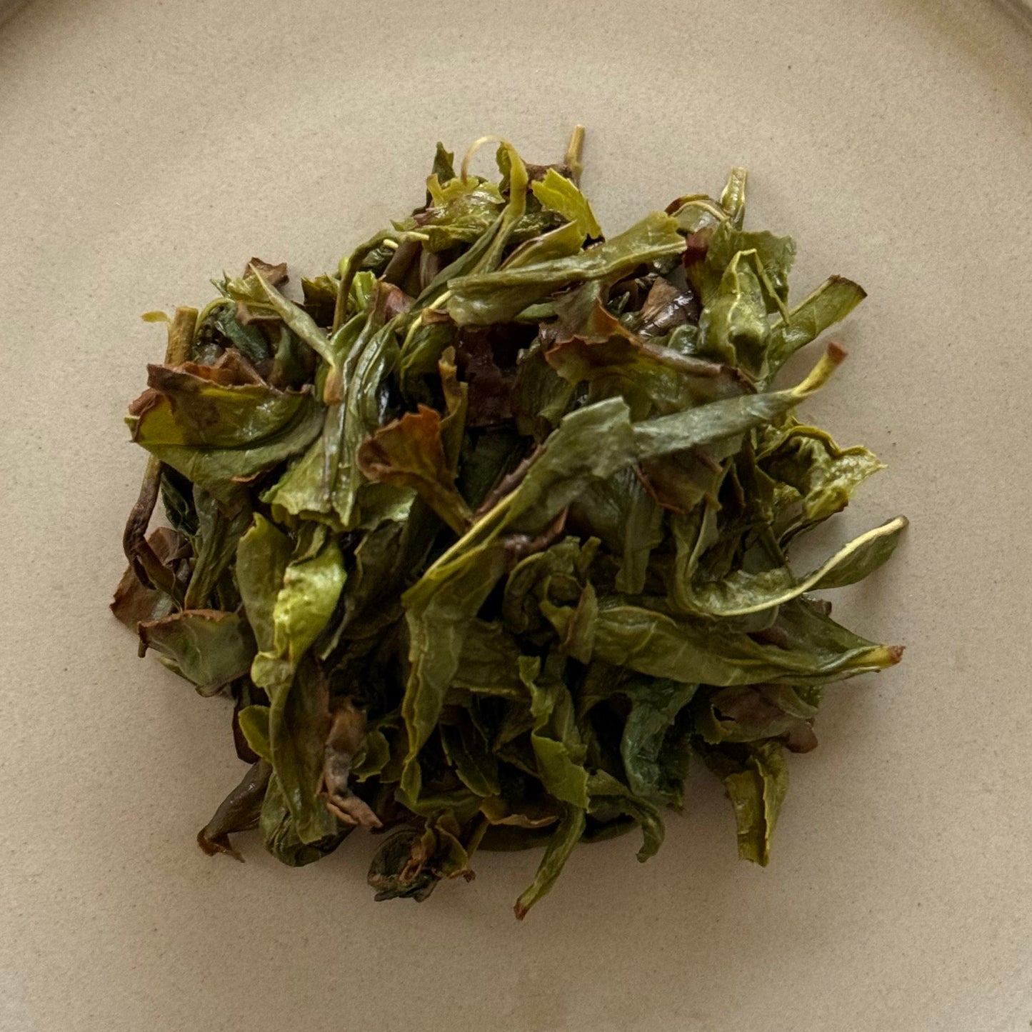 OOLONG　生烏龍茶　こうしゅん