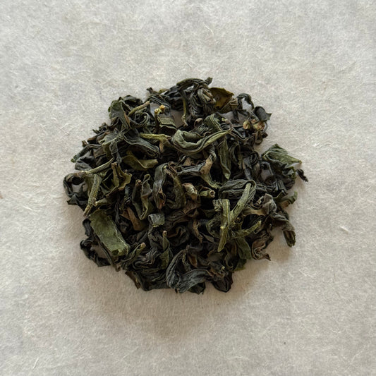 OOLONG　生烏龍茶　みなみさやか