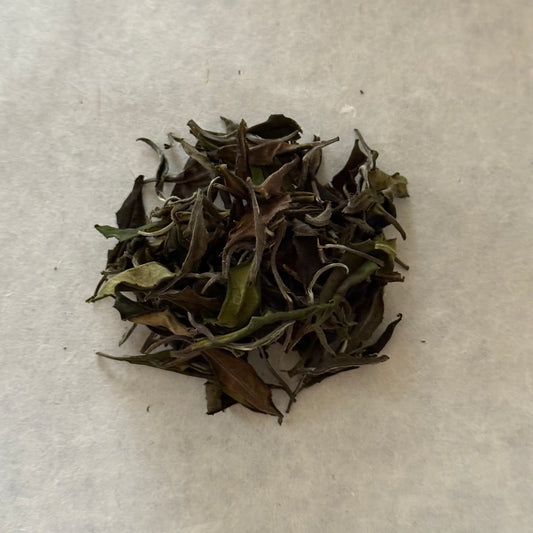 🆕WHITE　白茶　みねかおり