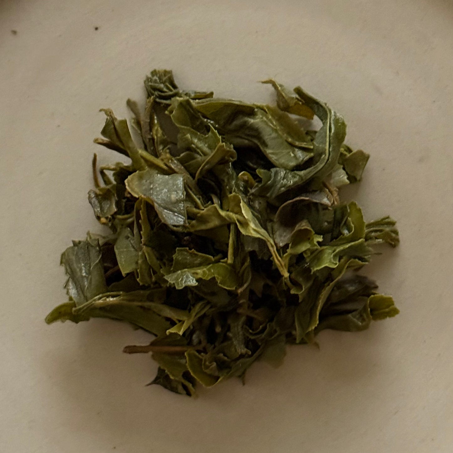 🆕GREEN　萎凋釜炒り茶　森一号