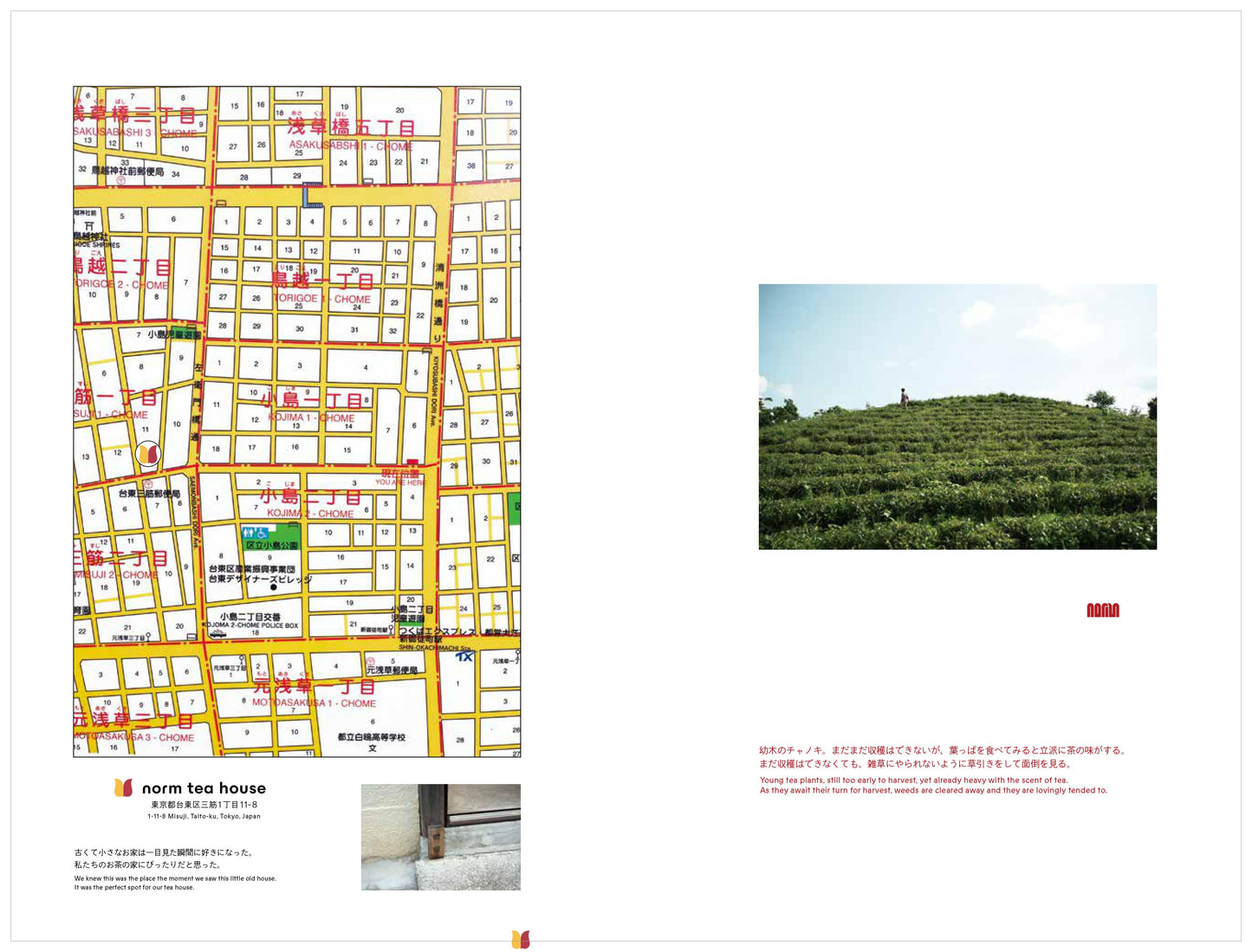 norm tea house オリジナルブック 「SAWA 茶話」